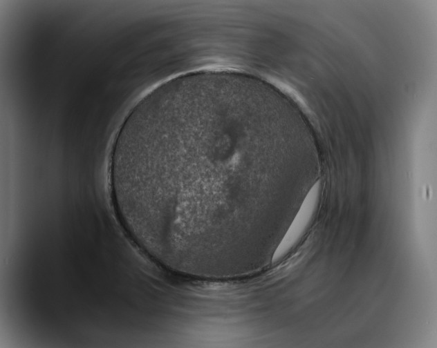 X0000089691375200707121328