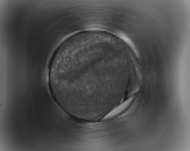 X0000089691376200707121328