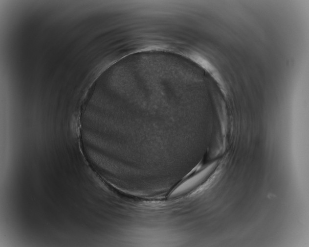 X0000089691377200707121328