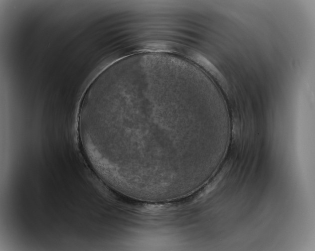 X0000089691378200707121328