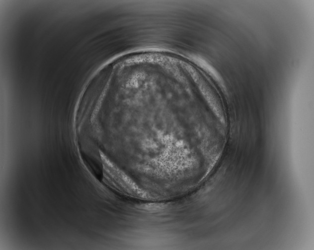 X0000089691380200707121328