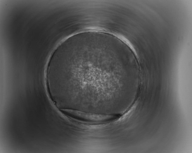 X0000089691381200707121328