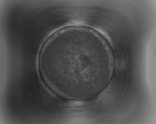 X0000089691382200707121328