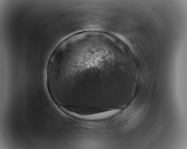 X0000089691383200707121328