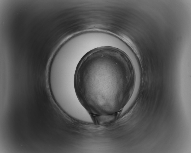 X0000089691384200707121328