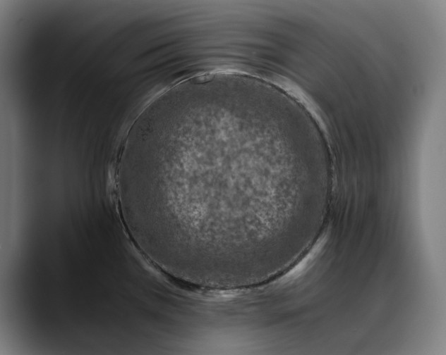 X0000089691385200707121328