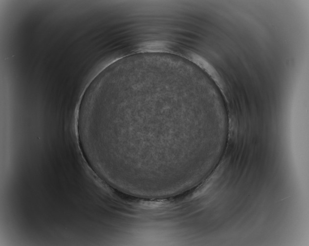 X0000089691386200707121328