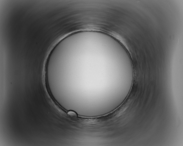 X0000089691387200707121328