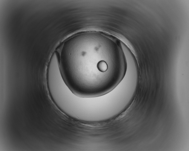 X0000089691388200707121328