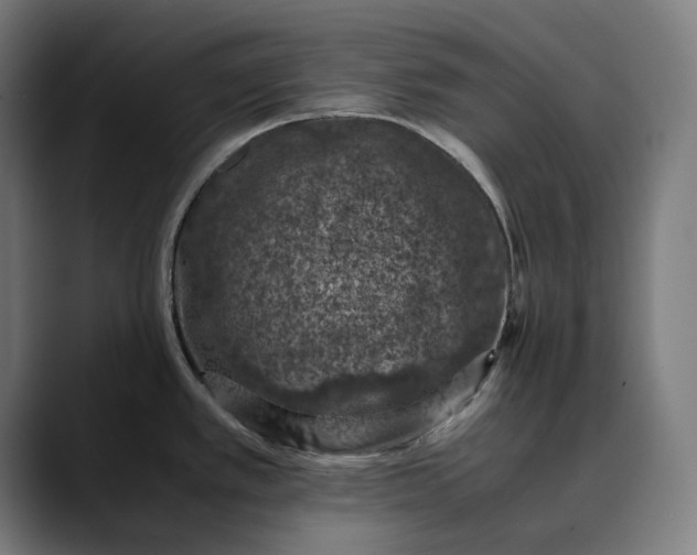 X0000089691389200707121328