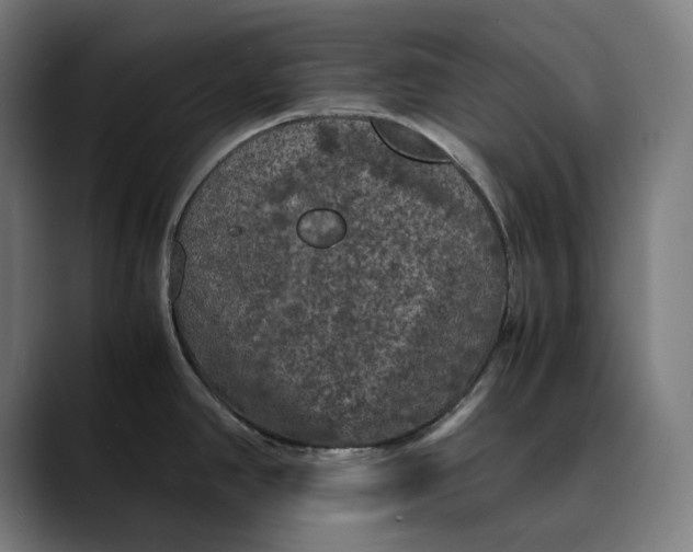 X0000089691390200707121328