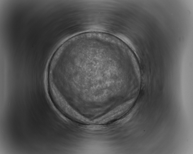 X0000089691391200707121328