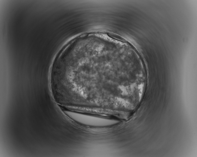 X0000089691392200707121328