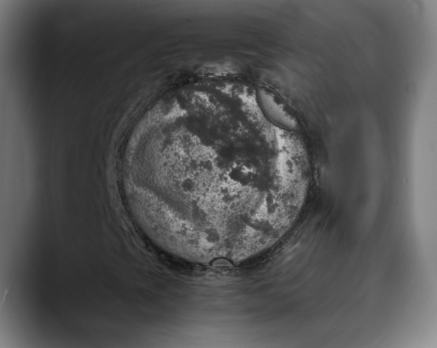 X0000089691393200707121328