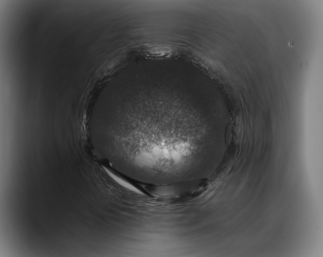 X0000089691394200707121328