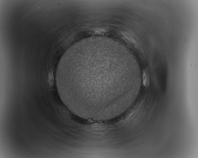 X0000089691395200707121328