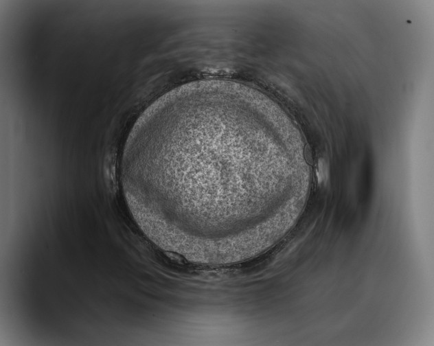 X0000089691396200707121328