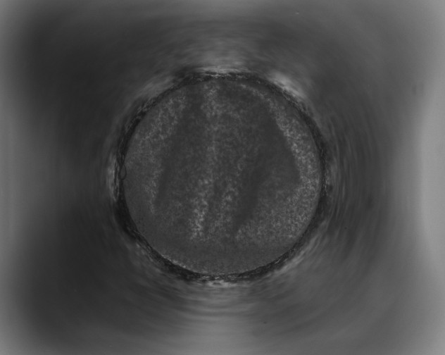 X0000089691398200707121328