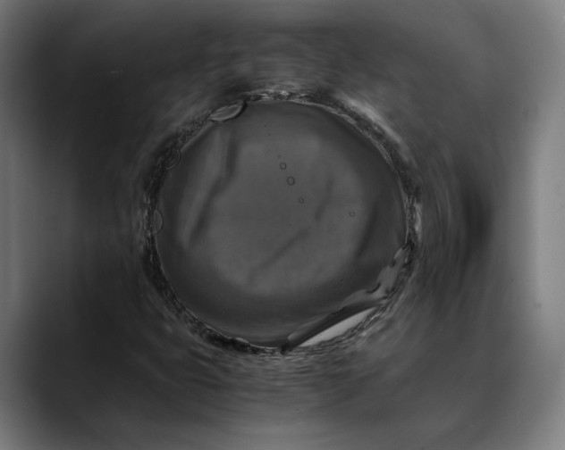 X0000089691399200707121328