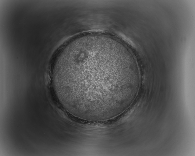 X0000089691400200707121328