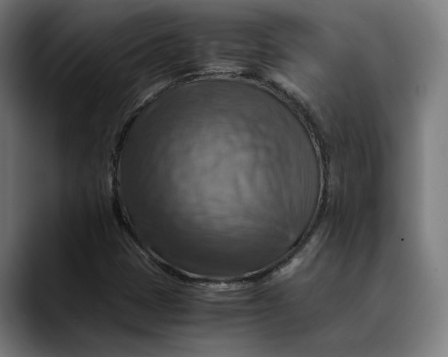 X0000089691401200707121328