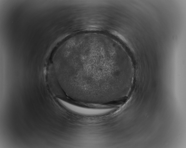 X0000089691402200707121328