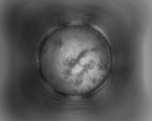 X0000089691403200707121328