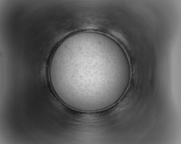 X0000089691404200707121328