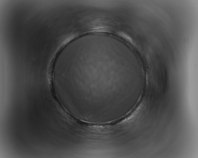 X0000089691405200707121328