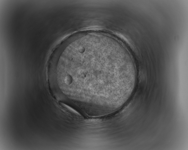 X0000089691406200707121328