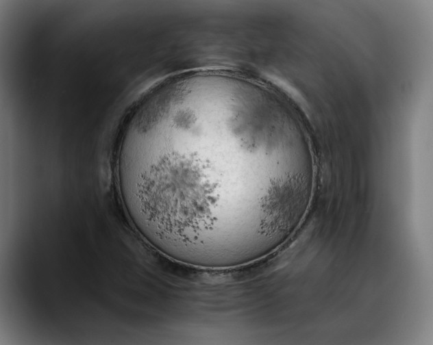 X0000089691407200707121328