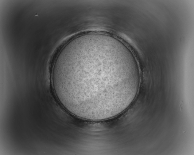 X0000089691408200707121328