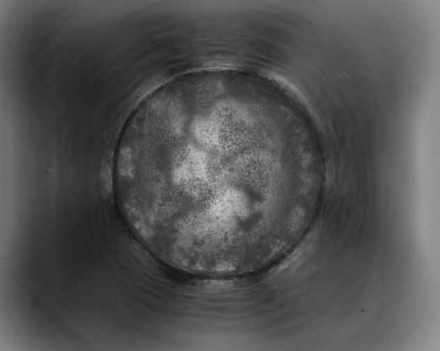 X0000089691409200707121328