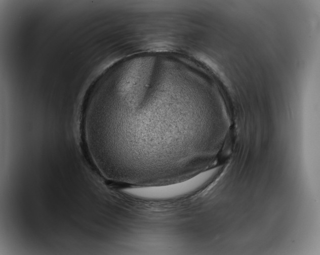 X0000089691410200707121328