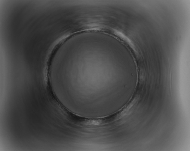 X0000089691411200707121328