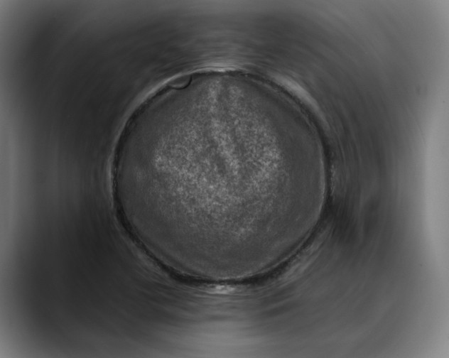 X0000089691412200707121328