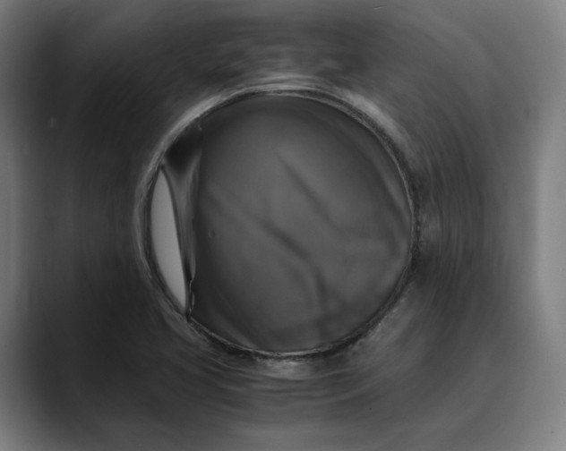 X0000089691413200707121328