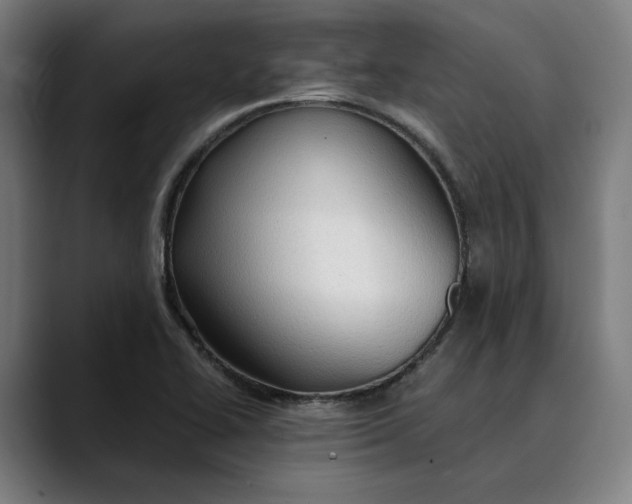 X0000089691414200707121328