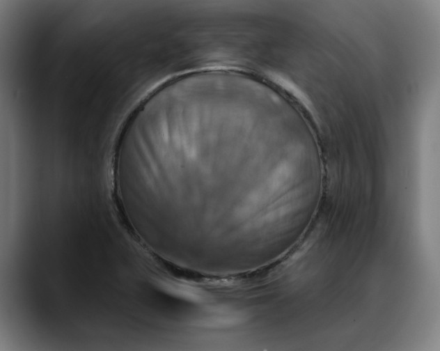 X0000089691415200707121328