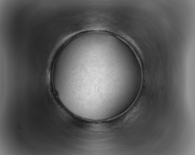 X0000089691416200707121328