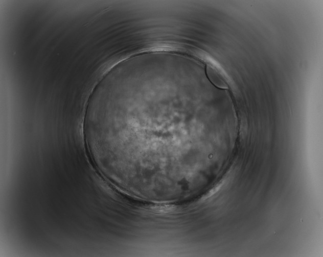 X0000089691417200707121328