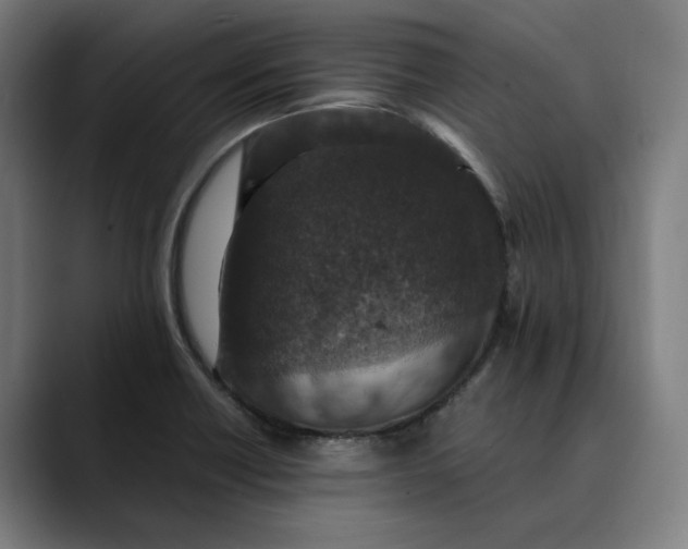 X0000089691418200707121328