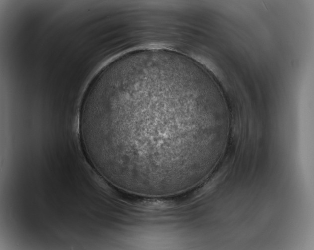 X0000089691420200707121328