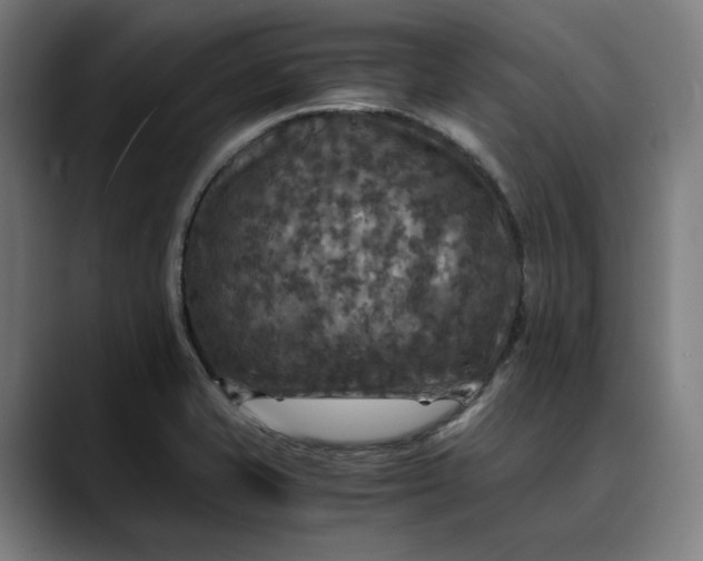 X0000089691421200707121328