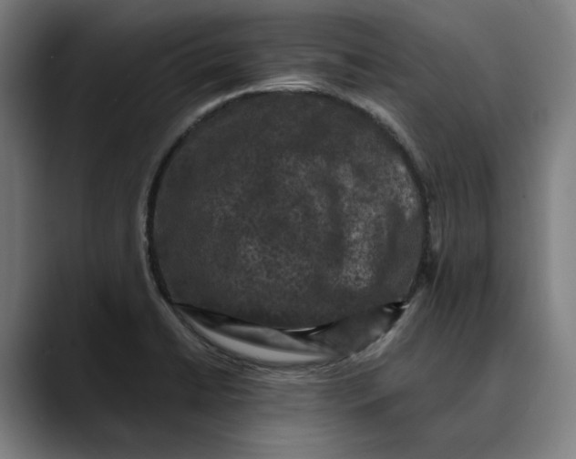 X0000089691422200707121328