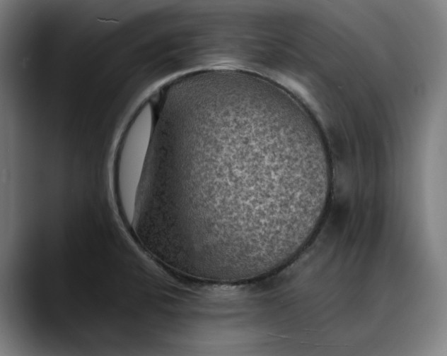 X0000089691424200707121328