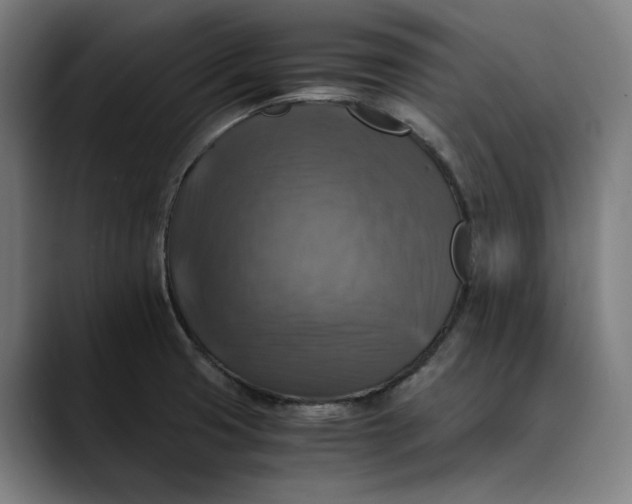 X0000089691425200707121328