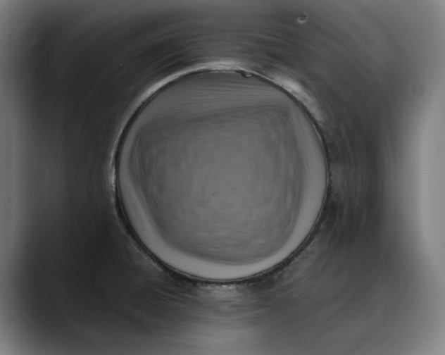 X0000089691428200707121328