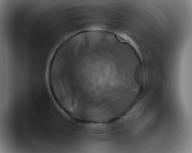 X0000089691429200707121328