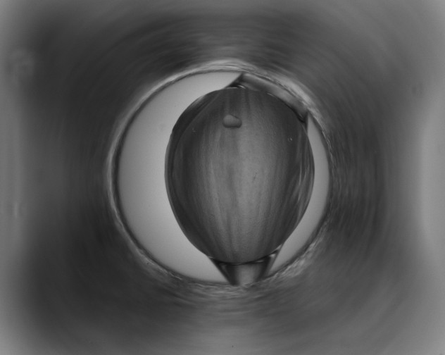 X0000089691430200707121328